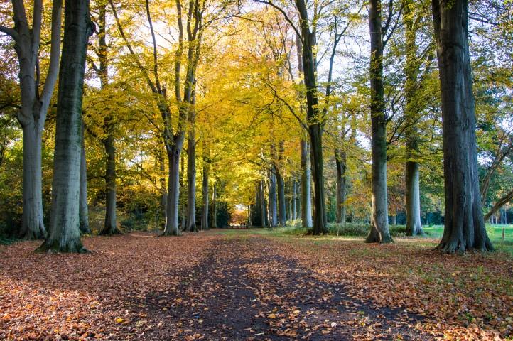 De hemel te rijk in Hemelrijk